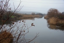 Село Кутейниково на Большом Несветае