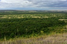 Лесная долина в окружении холмов на реке Быстрой