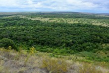 Лесная долина в окружении холмов на реке Быстрой