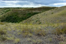 Лесная долина в окружении холмов на реке Быстрой