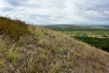 Лесная долина в окружении холмов на реке Быстрой