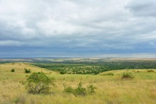 Лесная долина в окружении холмов на реке Быстрой