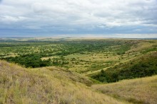 Лесная долина в окружении холмов на реке Быстрой