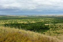 Лесная долина в окружении холмов на реке Быстрой