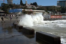 Пёс охотник за волнами