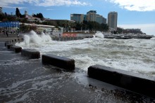 Пёс охотник за волнами