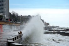 Пёс охотник за волнами
