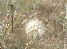 Каменные горы на Кундрючьей