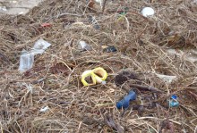 Берег в хуторе Рожок после шторма