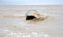 Берег в хуторе Рожок после шторма