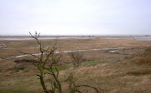 Беглицкая коса после шторма