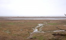 Беглицкая коса после шторма