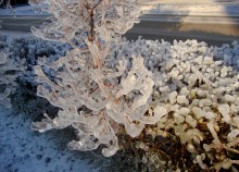 Ледяной дождь в Ростове и Аксае 11-15 декабря 2023 г.