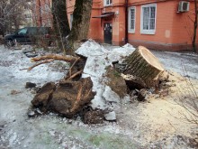 Ледяной дождь в Ростове и Аксае 11-15 декабря 2023 г.