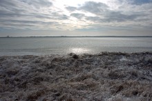 Ледяной дождь в Ростове и Аксае 11-15 декабря 2023 г.