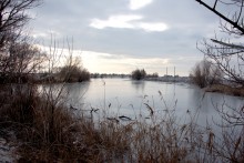 Ледяной дождь в Ростове и Аксае 11-15 декабря 2023 г.