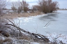 Ледяной дождь в Ростове и Аксае 11-15 декабря 2023 г.