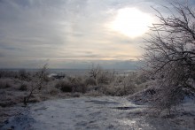 Ледяной дождь в Ростове и Аксае 11-15 декабря 2023 г.