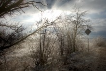 Ледяной дождь в Ростове и Аксае 11-15 декабря 2023 г.