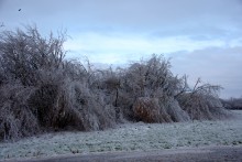 Ледяной дождь в Ростове и Аксае 11-15 декабря 2023 г.