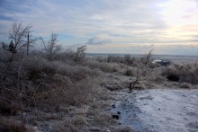 Ледяной дождь в Ростове и Аксае 11-15 декабря 2023 г.