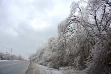 Ледяной дождь в Ростове и Аксае 11-15 декабря 2023 г.