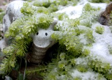 Ледяной дождь в Ростове и Аксае 11-15 декабря 2023 г.