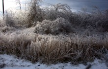 Ледяной дождь в Ростове и Аксае 11-15 декабря 2023 г.