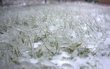 Ледяной дождь в Ростове и Аксае 11-15 декабря 2023 г.