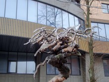 Ледяной дождь в Ростове и Аксае 11-15 декабря 2023 г.