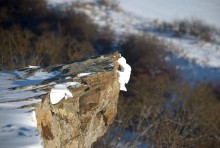 Снежно и морозно во всём крае нашем, и в долине Кундрючей, и на Прохоровских скалах