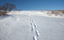 Снежно и морозно во всём крае нашем, и в долине Кундрючей, и на Прохоровских скалах