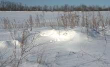 Снежно и морозно во всём крае нашем, и в долине Кундрючей, и на Прохоровских скалах