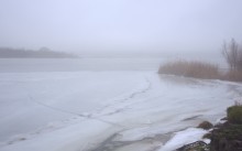 Оттепель и туман на Дону в январе