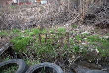 Родники Аксая