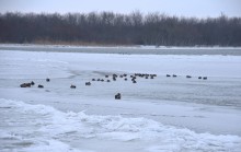 Родники Аксая