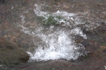 Родники Аксая