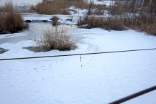 Подвесные мосты на реке Быстрой в хуторе Михайлов и посёлке Быстрогорском