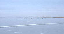 В феврале на Весёловском водохранилище и Шахаевском лимане