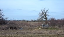 Бои на Маныче летом 1942 г., у хутора Свобода и Весёловского водохранилища