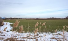 Бои на Маныче летом 1942 г., у хутора Свобода и Весёловского водохранилища