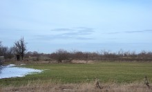 Бои на Маныче летом 1942 г., у хутора Свобода и Весёловского водохранилища