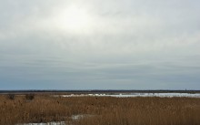 В феврале на Весёловском водохранилище и Шахаевском лимане