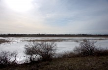 В феврале на Весёловском водохранилище и Шахаевском лимане