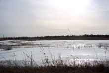 В феврале на Весёловском водохранилище и Шахаевском лимане