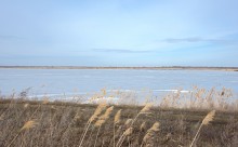 В феврале на Весёловском водохранилище и Шахаевском лимане