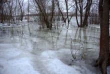 Февральское половодье на Дону