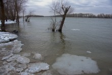 Февральское половодье на Дону