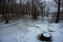 Февральское половодье на Дону