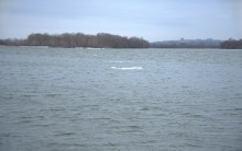 Февральское половодье на Дону